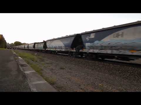 GWA Grain Train-7 locos at Nairne