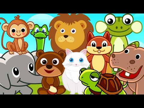 Hayvanları Tanıyalım - Hayvanları ve Seslerini Öğreniyoruz - Bebek Okulu