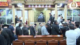 שידור חי | הכנה לחג הפסח בהלכה ובחסידות עם מו"ר הרב ישראל אברג'ל שליט"א - שיעור 2 מתוך 8 אי"ה