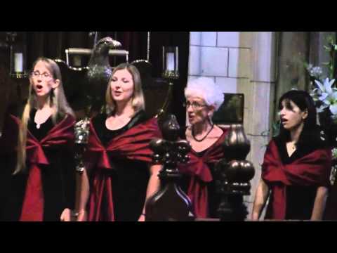 "Dulaman" arranged by David Mooney, performed by VAE in St. Patrick's, Dublin