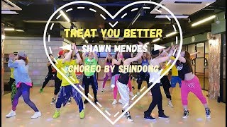 I LOVE ZUMBA / Treat You Better (Ashworth Remix) - Shawn Mendes / CHOREO BY SHINDONG