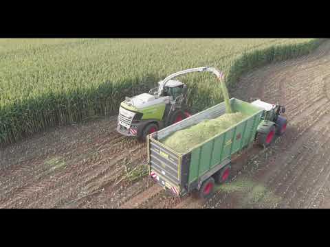 Herbst im Norden Maisernte 2020 mit Großeinsatz über 10 Maschinen bei  Silomaisernte