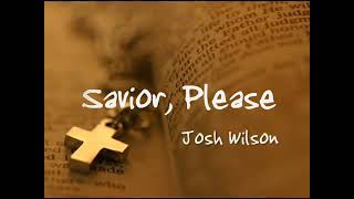 Savior Please (Lyrics) - Josh Wilson