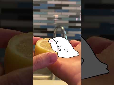 Cece the Seal tries a lemon 🍋