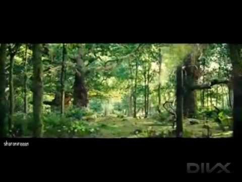 video thumnail