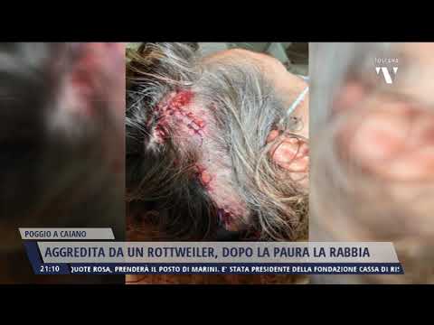 2021-05-28 NOTIZIE DI PRATO TG ORE 20.50