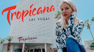 What's Inside Tropicana Las Vegas Hotel and Casino | Pool, View, Restaurants & History