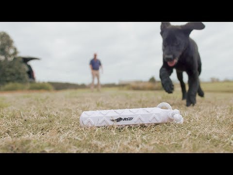 Mossy Pond Retrievers - Training Duck Dogs