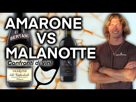 AMARONE vs MALANOTTE: IL Confronto 🍷🔥