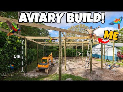 Building $100,000 AVIARY in My Backyard for EXOTIC BIRDS!! (Pt. 2)