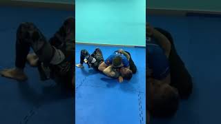 Biceps Slicer Technique in BJJ: Impressive Highlights #shorts