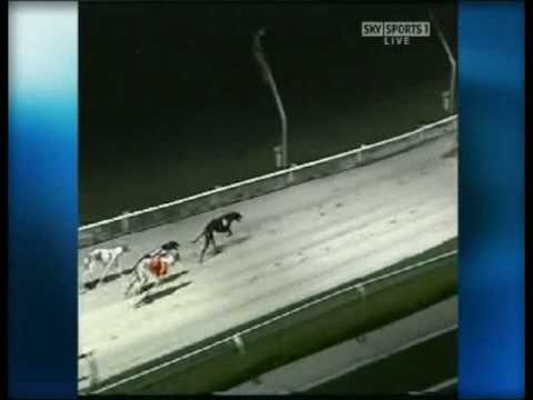 Swift Jade wins heat 1 of the Coral Regency 2008