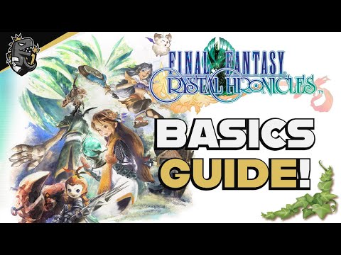 Final Fantasy Crystal Chronicles: A Beginner's Guide!