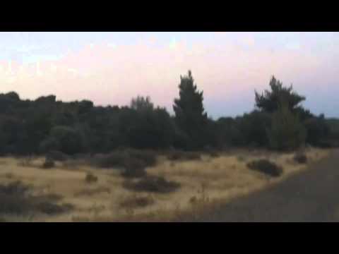 Kourtesis Rally School - McBabis (OnBoard Rally Cam)