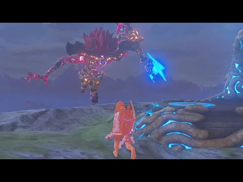 One-Hit Obliterator Vs WaterBlight Ganon - Zelda Breath of the Wild