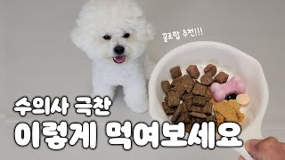 푸우가 먹는 사료 공개합니다 (원료, 기호성, 가성비까지 진짜 좋은 꿀조합 추천)