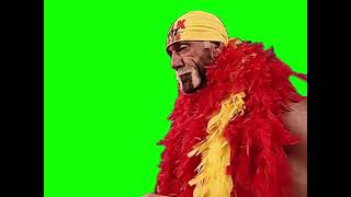 Hulk Hogan “I’m 29 dude” green screen