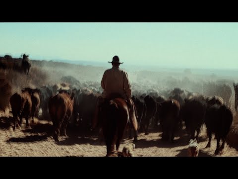 Group A.D. - Colour Space Transform (Official Music Video)