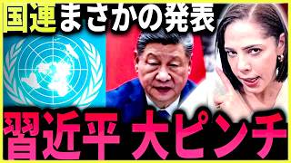 参政党アンチが日の丸にバツ印…自民党が改正しない「日本人を差別する法律」について話します