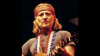 Willie Nelson - The Party&#39;s Over