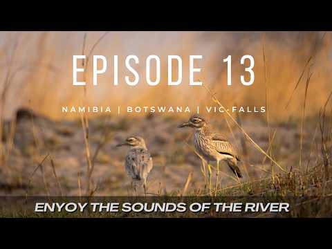 NAMIBIA - BOTSWANA - VIC-FALLS - 2025 | EP 13 | WE CHANGE TO CAMP KWANDO AND HAD A GREAT BOAT CRUISE