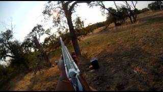 First Person Shooter Opening Day Dove 2011 Frisco Texas