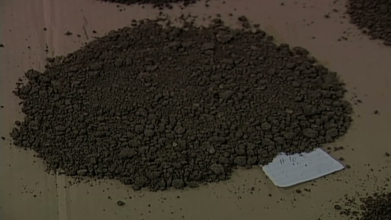 Dasar-Dasar Ilmu Tanah