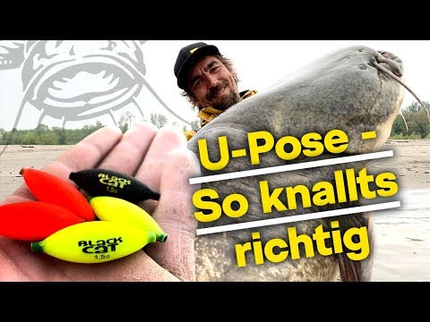 The best catfish rig | Micro U-floats for catfish fishing | Important tips for your success