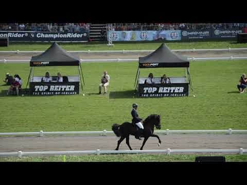 Carina Piber T1 WM19