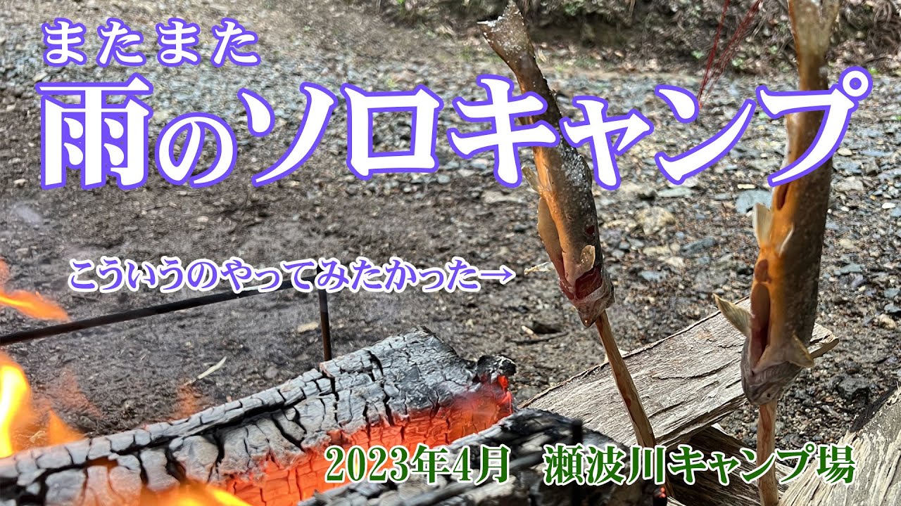 新緑の春　またまた雨のソロキャンプ　～2023年4月　瀬波川キャンプ場　～