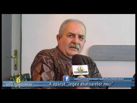 satul hunedorean 22 ianuarie 2017