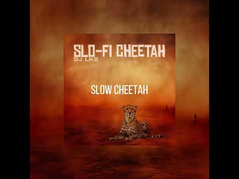 03 Slow Cheetah (sLo-Fi Cheetah EP by DJ LKB)