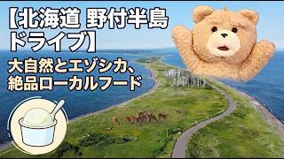 【北海道 野付半島 ドライブ】大自然とエゾシカ、絶品ローカルフード 2026夏