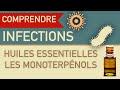 Infections et huiles essentielles, les monoterpénols