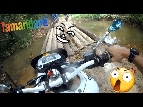ROLÊ PRA TAMANDARÉ E MUITA LAMA !!  😲