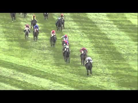 Crabbie's Grand National glory for Rule The World