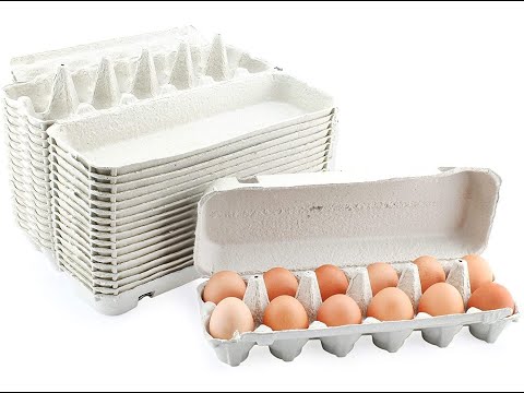 120 Pack 12 Grid Quail Egg Cartons, Reusable Quail Egg Cartons