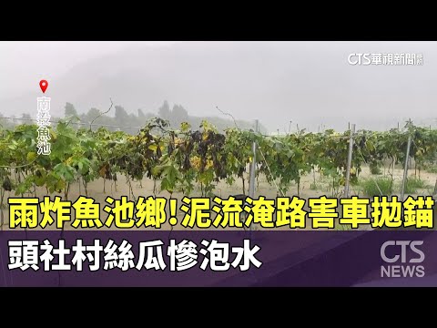 雨炸魚池鄉！　泥流淹路害車拋錨　頭社村絲瓜慘泡水