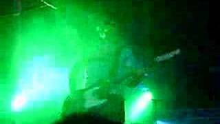 Lovebugs, Boys of Summer