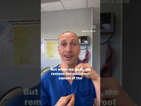 Are rootcanals toxic? why? what's an alternative? @mindful.doctor #rootcanal #rootcanaltreatment