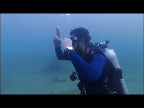 NAUI ESSENTIAL SKILLS   CAPT: Ahmed Helmy