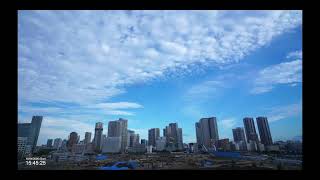 Tsukiji Market live stream