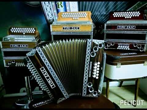 HARMONIKE "TIMI ZAJC" - FRANCELJ POLKA - PLAZNIK STIMA