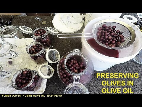 download lagu mp3 mp4 Black Fruity Olive Oil, download lagu Black Fruity Olive Oil gratis, unduh video klip Black Fruity Olive Oil