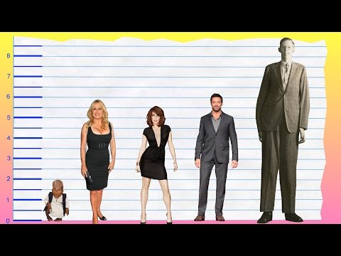 download lagu mp3 mp4 Jennifer Coolidge Measurements, download mp3 Jennifer Coolidge Measurements free download mp3, download mp3 Jennifer Coolidge Measurements