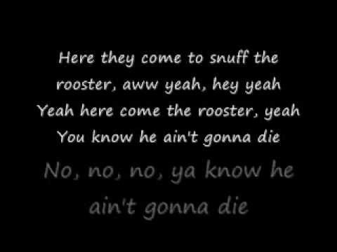 Rooster-Alice In Chains lyrics