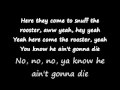 Rooster-Alice In Chains lyrics 
