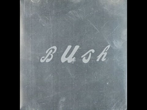 Bud video thumbnail
