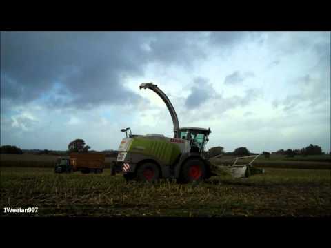 Maize 2013 Claas 980 with 12 row width again