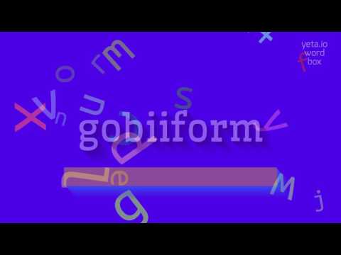 GOBIIFORM - HOW TO PRONOUNCE IT? #gobiiform